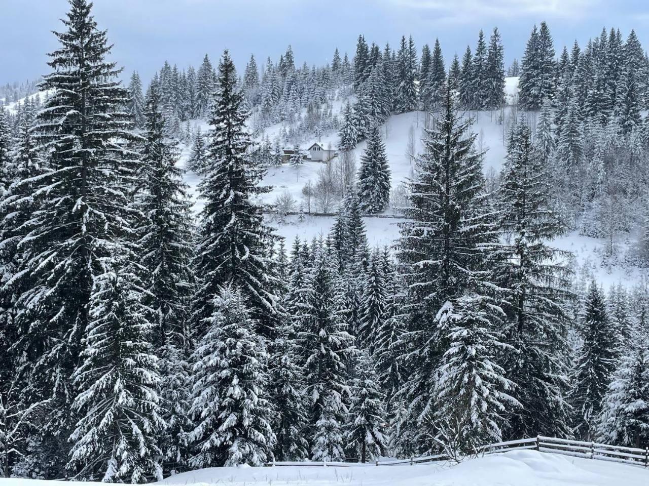 Aparthotel Kazka Jablunycja Exteriér fotografie