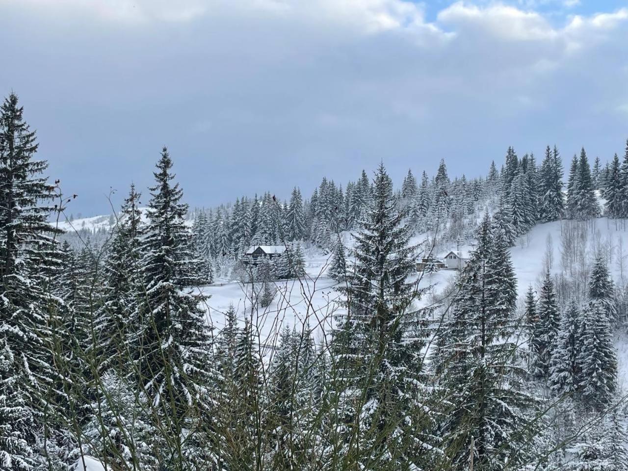Aparthotel Kazka Jablunycja Exteriér fotografie