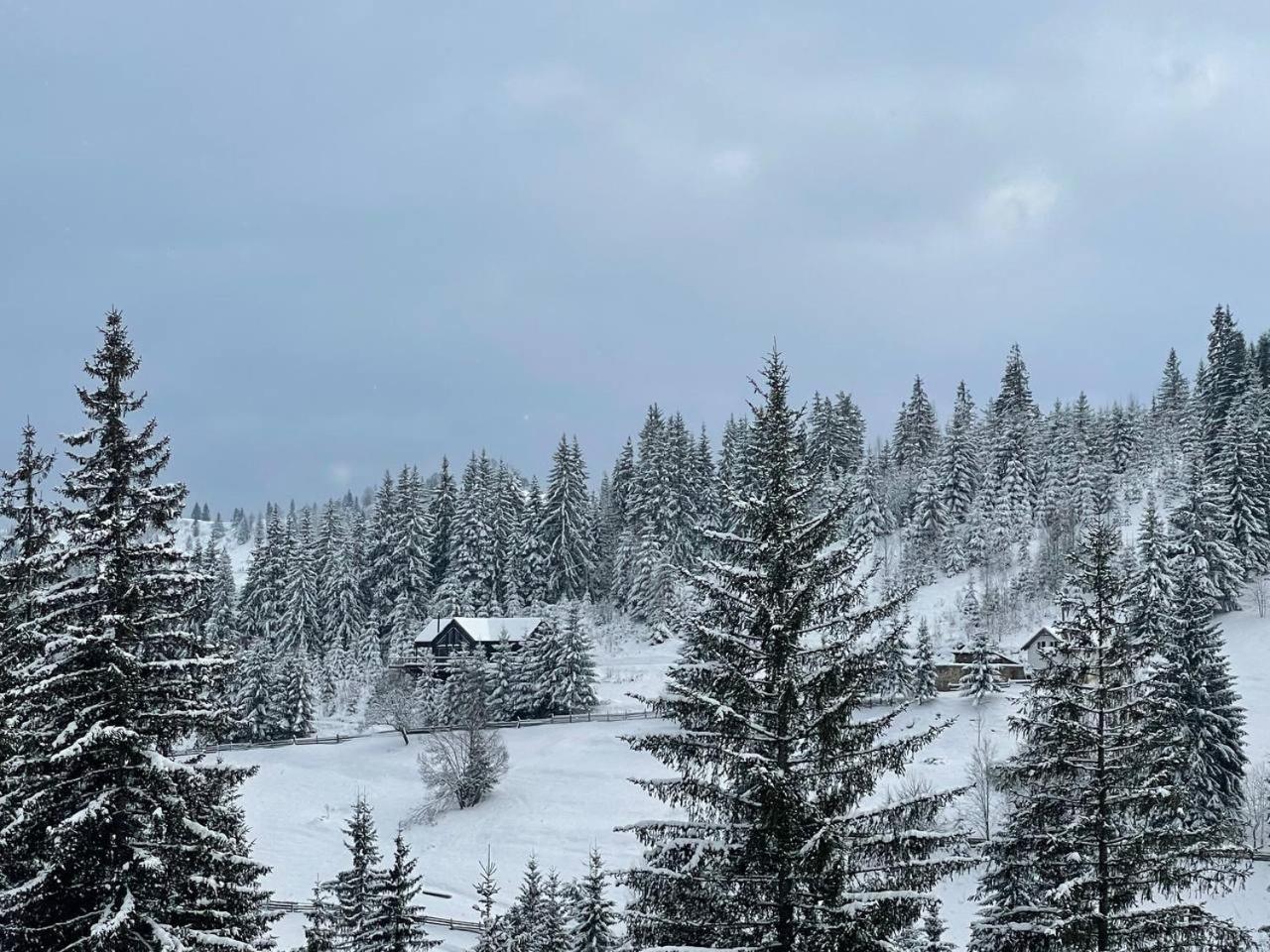 Aparthotel Kazka Jablunycja Exteriér fotografie